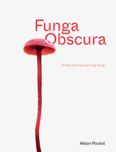 Book cover: white background with a long stemmed red mushroom. Funga Obscura: Photo journeys among fungi by Alison Pouliot