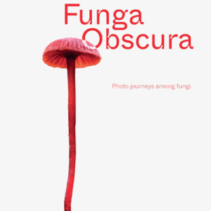 Book cover: white background with a long stemmed red mushroom. Funga Obscura: Photo journeys among fungi by Alison Pouliot