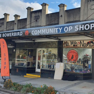 Street view of the Bowerbird OpShop