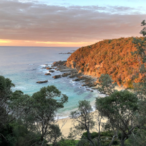Photo graph of the Bermagui coast in the rosy light of dawn.