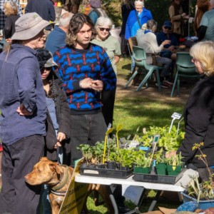 People milling around market stall tables