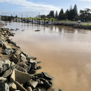 Close up of muddy water at Bermagui harbour