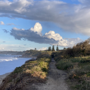 Walking track along the ocean with clouds in the backgroud