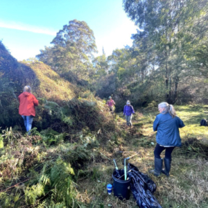 Four people in the Australian bush with tools in the foreground.