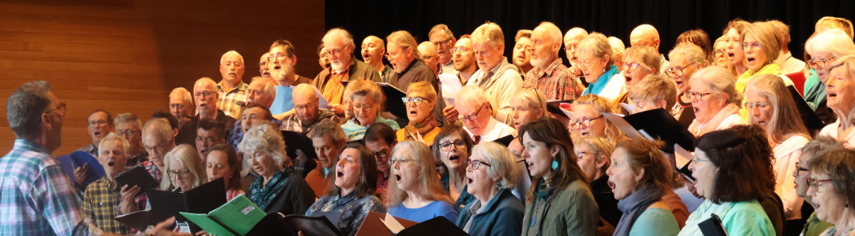 A group of about thirty people singing with the conductor on the left side of the photo