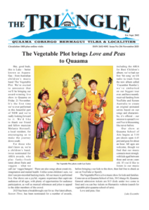 Front cover of The Triangle with an image of three performers in colourful costumes