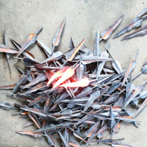 Metal leaves where the ones in the centre are glowing red from heat