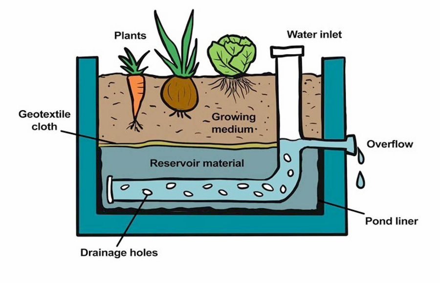 Diagram of a wicking bed