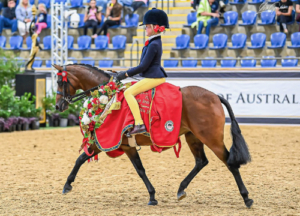 Girl on her horse, both dressed for competion