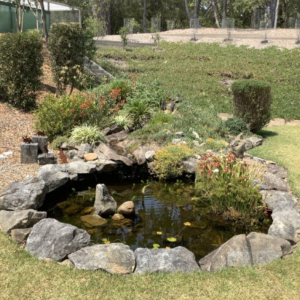 Outdoor water feature surrounded by river rocks.