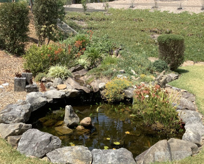 Outdoor water feature surrounded by river rocks.