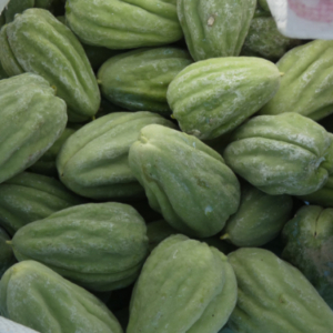 Close-up of seed pods of the moth vine