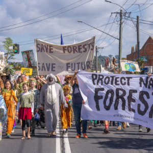 Protect Our Forests marchers in costumes
