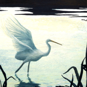 Waterbird with outstretched wings.