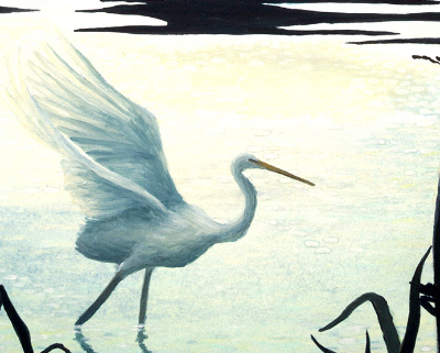 Waterbird with outstretched wings.