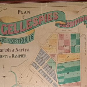 Detail of a map of Cobargo from the 1890s.