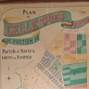 Detail of an 1890s map of Cobargo village.