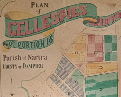 Detail of an 1890s map of Cobargo village.