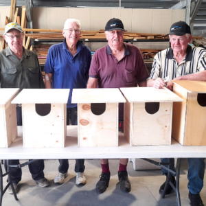 Four men standing behind possum boxes.
