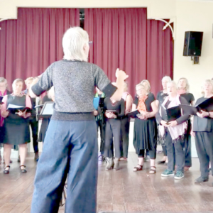 Photo of choir taken from behind the conductor