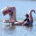 Person floating in a T-Rex inflated boat.