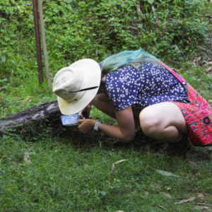 Woman on the ground examining the underside of a log.