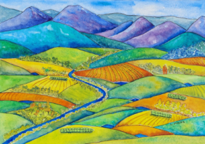 Colourful representation of the patchwork of fields