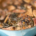 Close up of osso buco