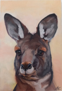 Portrait of a kangaroo