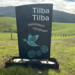 Tilba sign updates Tilba Tilba sign