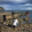 Men filming on a rocky beach