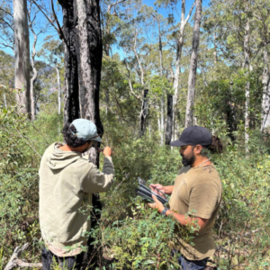 Two. men working in the bush.