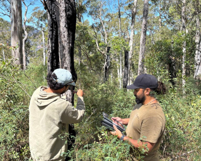 Two. men working in the bush.