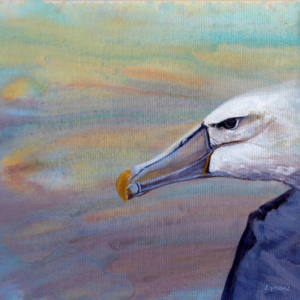 Painting of an albatross seen in profile.