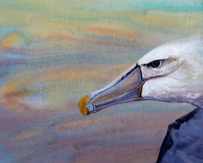 Painting of an albatross seen in profile.